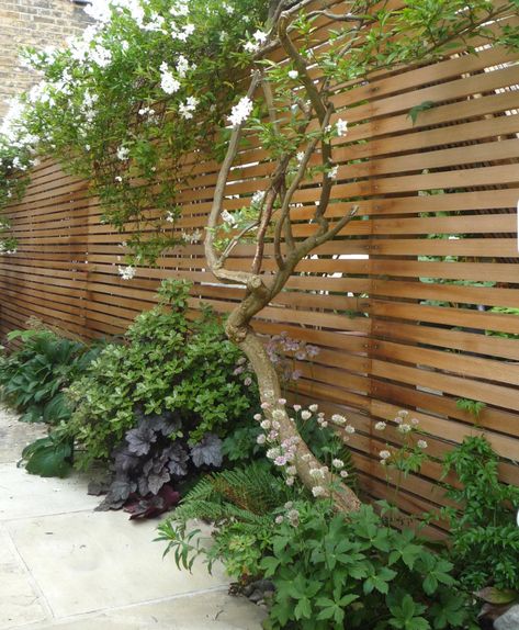 Shady Courtyard, Roof Terraces, Sandstone Paving, Small Courtyard Gardens, Garden Inspo, Planting Plan, Small Courtyards, Dream Yard, Design Practice