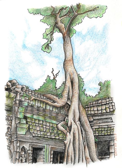 Cambodian Temple, Temple Drawing, Ta Prohm, Famous Trees, Amazing Trees, Cambodian Art, Angkor Thom, Canvas Art Projects, Travel Drawing