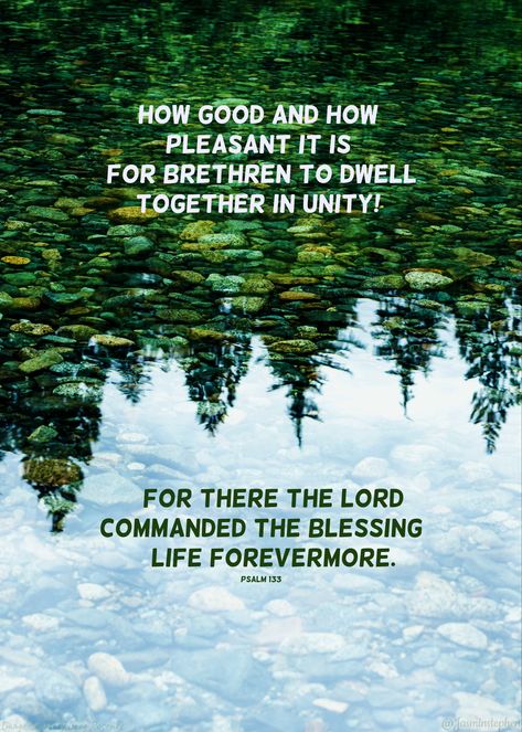 Psalm 133, God's Promises, Full Life, Awesome God, Romans 12, Morning Blessings, Bible Prayers, Gods Promises, Heavenly Father