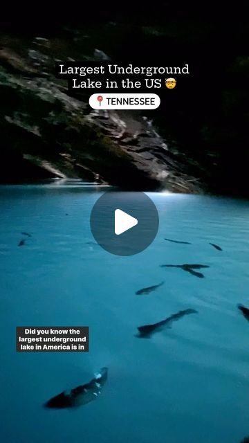 Lost Sea Tennessee Caves, Sweetwater Tn, Underground Lake, Travel Tennessee, Cool Facts, Sea Adventure, Guinness Book Of World Records, Cave Tours, Adventure Of The Seas