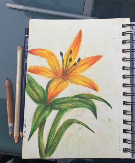 Color Pencil Inspiration, Flower Field Drawing Pencil, Colored Pencil Flower Drawing, Simple Colour Pencil Drawings, Colored Pencil Combinations, Colour Drawing Ideas, Colored Pencil Flowers, Daisy Drawing, Pencil Inspiration