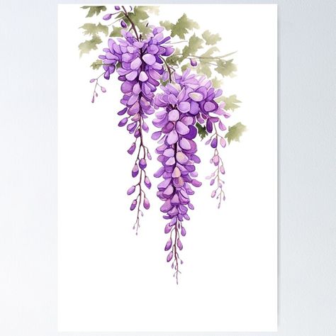 "purple wisteria aquarelle painting, cutout" Sticker for Sale by EmeraldeaArt | Redbubble Wisteria Tree Watercolor, Wisteria Drawing Simple, Painting Wisteria, Wisteria Painting, Wisteria Art, Cutout Poster, Dangling Flowers, Aquarelle Painting, Wisteria Tree