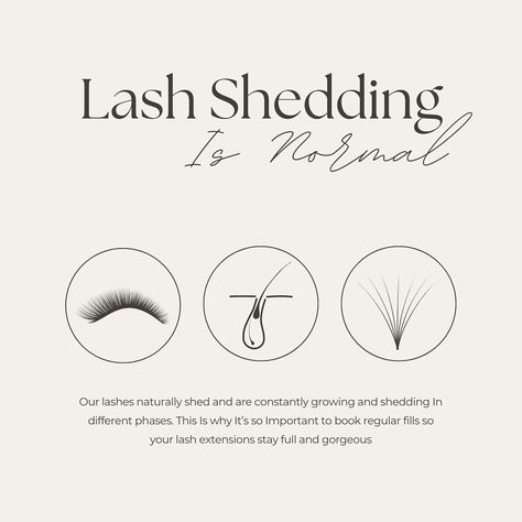 🌟 Lash Shedding is Normal! 🌟 Did you know? Our lashes naturally shed and are constantly growing in different phases. This is a normal part of the lash cycle and nothing to worry about! To keep your lash extensions looking full and gorgeous, it’s essential to book regular fills. This way, you can maintain that stunning, voluminous look all the time. 💁‍♀️✨ Keep your lashes on point by staying on top of your fill appointments! 💖 #yeg #yeglocal #yeglife #yeglashes #yeglashextensions #yeglash #... Lash Extension Graphic, Lash Extensions Pre Appointment, Lash Extensions Marketing Social Media, Lash Extension Education, Lash Page Ideas, Lash Extensions Information, Lash Extension Instagram Posts, Lash Extensions Instagram Post, Eyelash Content