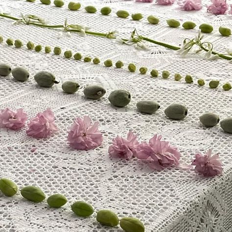 Gohar World on Instagram: "First signs of spring: green almonds, fresh chickpeas, english peas, and fava beans laid across a handmade Old World lace tablecloth. Refresh your linen collection for spring with tablecloths, placemats, napkins, coasters, doilies, and a celebratory bottle apron from Gohar World’s classic collection. 🌸 Team favorites: the Embroidered Lace Tablecloth comes complete with matching napkins for hosting, while the Lace Coasters with Pearls add instant elegance to any tab Gohar World, Minimalist Food, First Signs Of Spring, English Peas, Signs Of Spring, Fava Beans, Linen Collection, Reception Design, Lace Table