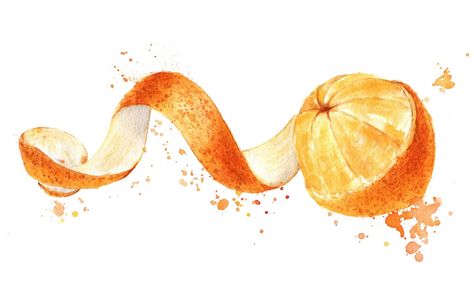 A Psychologist Explains Love’s ‘Orange Peel Theory’ Drawing Orange, Fruit Quotes, Fruit Drawing, Basic Painting, Fruits Drawing, New Fruit, Small Acts Of Kindness, Wedding Tattoos, Orange Fruit