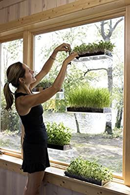 Amazon.com: Double Veg Ledge Suction Cup Window Shelf – Create an Indoor Garden, Hold Your Planter pots, Seed Starter, Figurines on Your Window. Grow Herbs, Microgreens, Succulents, Flowers. Sleek, Dependable.: Gateway Pots Storage, Window Shelf For Plants, Window Plant Shelf, Wall Storage Shelves, Window Plants, Window Shelves, Pot Storage, Window Planters, Garden Shelves