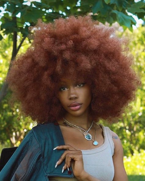 1,241 Likes, 9 Comments - SZA LOOKS (@szalooks) on Instagram: “SZA shot by Blair Cadwell for Wonderland Magazine.” Afro Hairstyles, Big Hair, Black Is Beautiful, Hair Goals, Dyed Hair, Beautiful Hair, Girl Hairstyles, Pretty People, Hair Inspiration