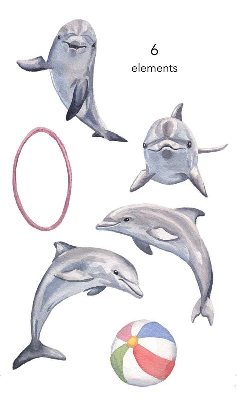 Colourful Creatures: Watercolour Animal Clipart Bonanza Dolphins Illustration, Sea Graphic Design, Dolphin Poster, Dolphin Watercolor, Dolphin Illustration, Beachy Paintings, Watercolour Sea, Dolphin Clipart, Dolphin Drawing