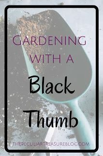 The Peculiar Treasure: Gardening With a Black Thumb (Favorite Things Friday) Planting A Garden, Black Thumb, Future Farms, Sustainable Garden, Organic Gardening Tips, Grow Your Own Food, Garden Structures, Gardening For Kids, Lawn And Garden