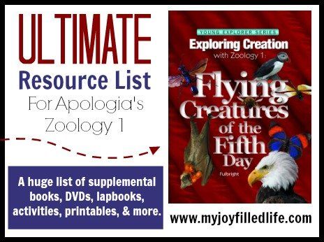 Ultimate Resource List for Apologia's Zoology 1 via @slavila Homeschool Rules, Flying Creatures, Scientific Thinking, My Father's World, Homeschool Elementary, Homeschool Inspiration, Animal Science, Homeschool Life, Science Curriculum