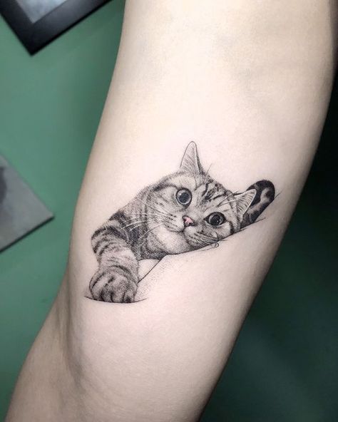 Realism Cat Tattoo, Tabby Cat Tattoo, Realistic Cat Tattoo, Cat Portrait Tattoo, Tattoo Gato, Cute Animal Tattoos, Tier Tattoo, Cute Cat Tattoo, Tattoo Trend