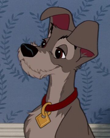 Tramp | Disney Wiki | Fandom Male Protagonist, Lady And The Tramp, A Cartoon, Film, Disney, Blue