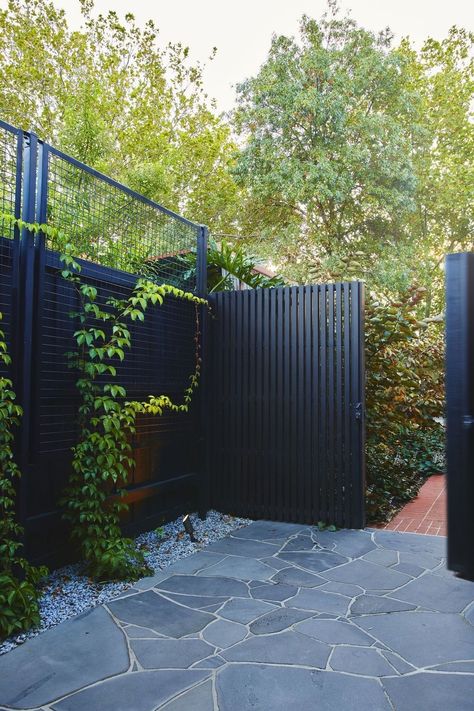 Fence Ideas For Garden, Black Fence Ideas, Cheap Garden Fencing, Design Fence, Black Fence, Ideas For Garden, Cheap Fence, Courtyard Gardens Design, Outdoor Paradise