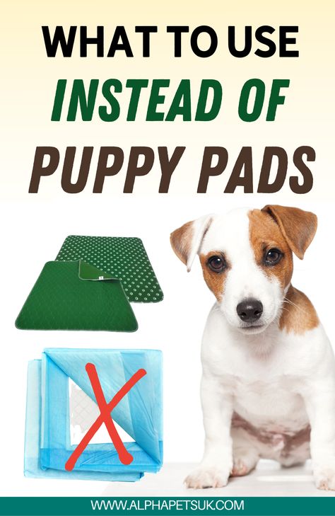 Diy Reusable Puppy Pads, Diy Puppy Pee Pads, How To Train A Dog To Use Potty Pads, Potty Patch For Dogs Diy, Wee Wee Pad Ideas, Indoor Pee Area For Dogs, Dog Pads Care Diy, How To Potty Train A Puppy On A Pad, Diy Washable Puppy Pee Pads