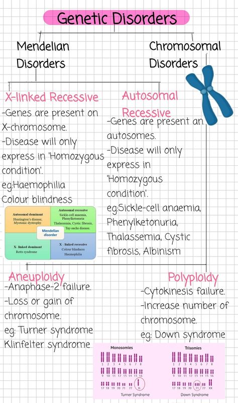 Grade 12 Biology Notes, Lipids Notes Biology, Apoptosis Notes, Biology Notes Genetics, Organism And Population Notes, Genetics Notes Biology Class 12, Life Sciences Study Notes Grade 12, Mendelian Genetics Notes, Grade 11 Biology Notes