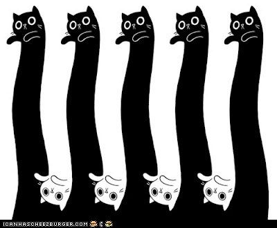 "Longcat vs. Tacgnol" -- [Tacgnol is the evil version of Longcat (Tacgnol=Longcat in reverse).] I love this graphic... makes me think of "Escher, the elementary years." Black And White Cats, Long Cat, Mc Escher, Graphisches Design, Textil Design, Nine Lives, White Cats, Cats Illustration, Art And Illustration