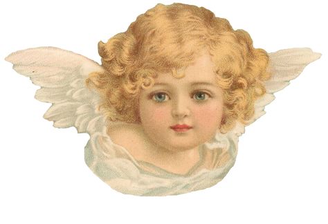 Images Victoriennes, Victorian Angels, Christmas Cones, Etiquette Vintage, Postal Vintage, Victorian Scrap, Angel Images, Old Fashioned Christmas, Little Angel