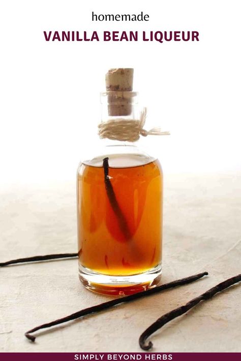 Vanilla Vodka Recipes, Homemade Liqueur Recipes, Vanilla Liqueur, Diy Vanilla, Infused Liquors, Make Vanilla Extract, Homemade Alcohol, Recipes For The Whole Family, Liquor Recipes