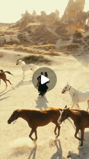 MAGNO SCAVO       Mensfashion on Instagram: "Lover’s gestures. 🖤🐎

#capadocia #kapadokya #turkey #türkiye #love #couplegoals" Couple Goals, On Instagram, Instagram