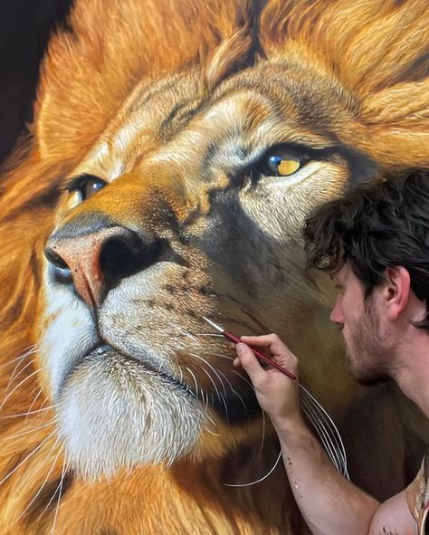 Big Cats Come Alive in Hyperrealistic Acrylic Paintings Animal Paintings Acrylic, Acrylic Portrait Painting, Lion Drawing, Hyper Realistic Paintings, Lion Painting, African Art Paintings, Wildlife Paintings, Lion Art, Realistic Paintings