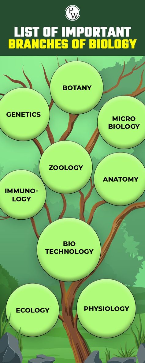 List of Important Branches of Biology Environmental Science Projects, What Is Biology, Physics Wallah, Branches Of Biology, Biology Diagrams, Biology Poster, Learn Biology, Branches Of Science, Library Skills