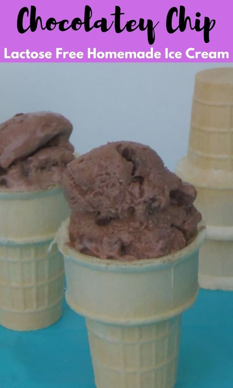 Lactose Free Ice Cream Recipe For Ice Cream Maker, Homemade Lactose Free Ice Cream Recipes, Lactose Free Ice Cream Recipe, Lactose Free Ice Cream, Breakfast Pockets, Ice Cream Maker Recipes, Dairy Free Ice Cream, Ice Cream Recipe, Ice Cream Maker