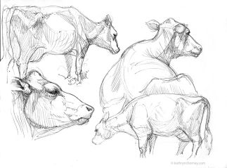 Cow Sketch, Macro Photography Insects, Cow Drawing, Koi Art, Art Students, Live Animals, Big Animals, Farm Art, Creature Drawings