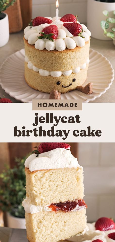 Your favourite jellycat birthday cake plushie in edible cake form! It's made with two layers of soft vanilla cake, strawberry jam, whipped cream, and fresh strawberries. #jellycat #birthdaycake | teakandthyme.com Strawberry Jam Filled Cake, Happee Birthdae Harry Cake Recipe, Jelly Cat Cake Stuffed Animal, Sponge Cake Birthday Cakes, Cake Decor Inspo Easy, Jellycat Cake Plush, Best Birthday Cake Recipe Homemade, Good Cake Recipes Homemade, Baking With Strawberry Jam