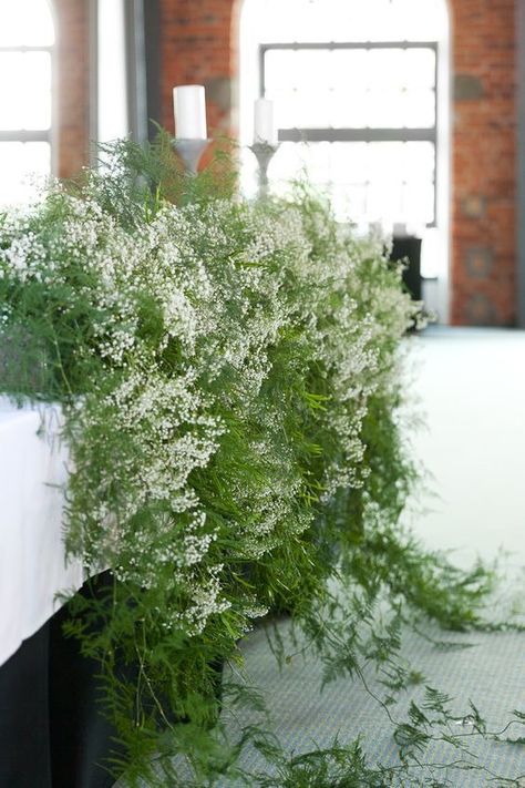 Top Table Flowers, Fern Wedding, Reception Backdrop, Tiny White Flowers, Asparagus Fern, Foliage Wedding, Baby Breath, White Wedding Flowers, Lodz