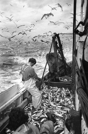 North Shields, Bateau Pirate, Salt Water Fishing, Fishing Photography, The Catch, Foto Vintage, Sport Fishing, Gone Fishing, Foto Art