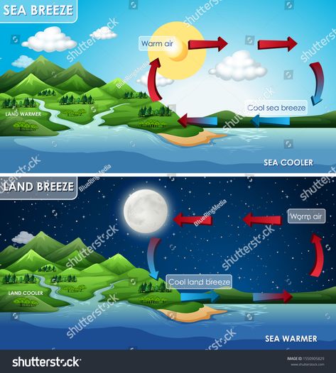 Science poster design for land and sea breeze illustration #Ad , #Affiliate, #design#poster#Science#land Science Poster Design, Sixth Grade Science, Earth Science Lessons, Geography Lessons, Earth And Space Science, Offshore Wind, Land And Sea, Weird Science, Science Fair Projects