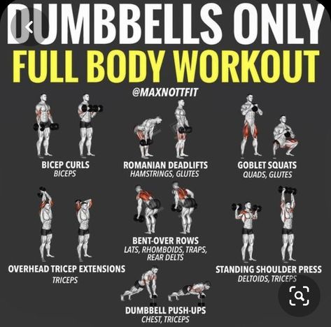 Best Home Dumbell Workout, Dumbell Home Workout For Men, Dumbbells Only Workout, Home Workouts For Men Dumbell, Workout With Dumbbells Men, Home Dumbell Workout Men, Weight Training With Dumbbells, Men’s Dumbbell Workout, Best Dumbbell Workouts