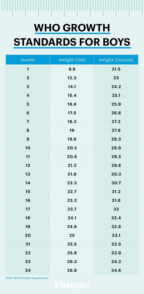 Tracking Infant Growth: Average Baby Weight and Height by Month Baby Weight Chart, Baby Development Chart, Baby Growth Chart, 1000 Calorie, Weight Charts, Baby Information, Baby Schedule, Premature Baby, Baby Growth