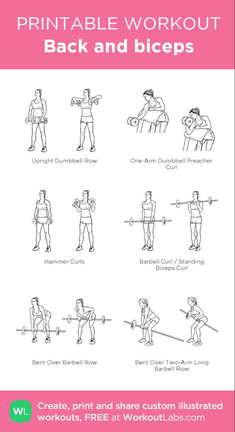 Gym Guide For Beginners, Barbell Workout For Women, Bicep Workout Women, Dumbbell Workout Plan, Back And Bicep Workout, Dumbbell Workout At Home, Workout Labs, Arm Workouts At Home, Workout Gym Routine