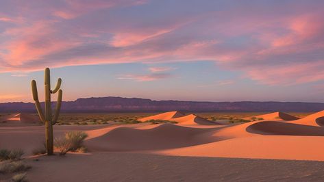 Sunset Over The Desert. Desert Sunset with A Cactus and Golden Sand Dunes. Landscape Wallpaper of Desert Dune. Desert Ipad Wallpaper, Desert Wallpaper Desktop, Desert Background Wallpapers, Desert Aesthetic Wallpaper, Landscape Wallpaper Desktop Aesthetic, 4k Desktop Wallpapers, Desert Hills, Desert Background, Sunset Desert