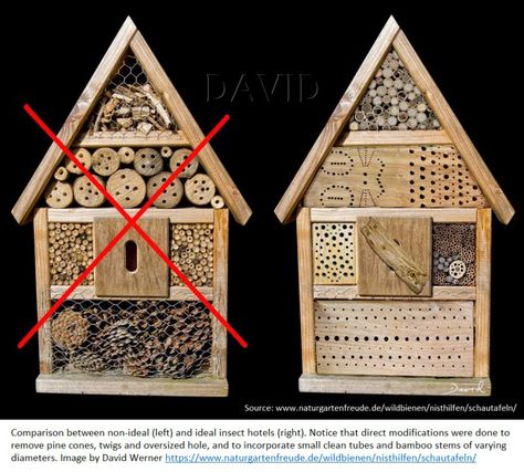 Bee Houses, Bee Hotel, Insect Hotel, Bug Hotel, Mason Bees, Bee House, Diy Bird Feeder, Bee Garden, Diy Birds