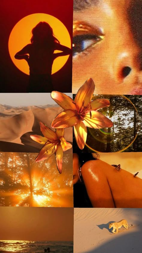 Orange Lilies' girl #aesthetic #lilies #orangeaesthic Fire Lily Aesthetic, Sade Vibes Aesthetic, Orange Girl Aesthetic, Orange Art Aesthetic, Orange Aesthetic Collage, Pink And Orange Background, Exotic Aesthetic, Sade Aesthetic, Orange Lilies