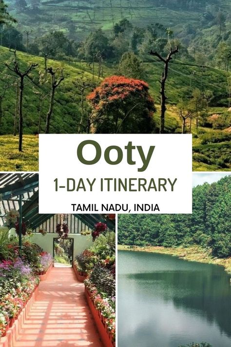 Ooty Itinerary Ooty Trip, Weather In India, Bangalore City, Travel Infographic, Holiday Travel Destinations, Adventure Travel Explore, Ooty, One Day Trip, India Tour