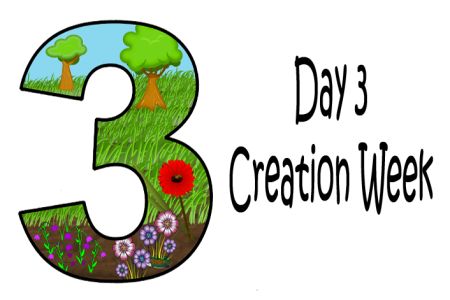 Creation Bible Lessons, Creation Activities, Creation Bible, Animals And People, Bible Activities For Kids, In The Beginning God, Days Of Creation, Bible Crafts For Kids, Creation Story