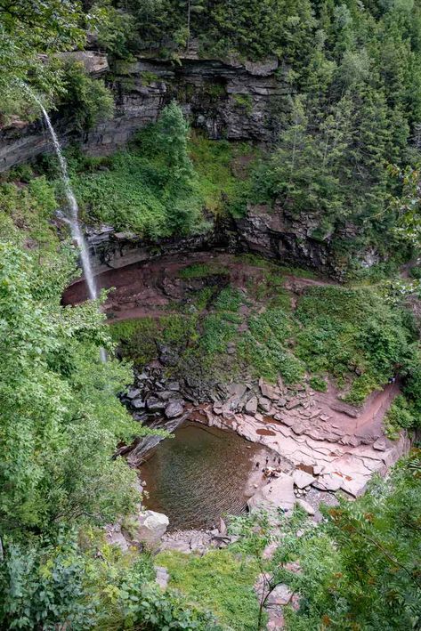 Spring Things, Mountains Hiking, The Catskills, Catskill Mountains, Forest Trail, Wild Forest, Rock Pools, Warm Spring, Mountain Hiking