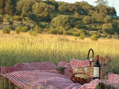 Picnics in the field How To Make Popcorn, Long Distance Love, Romantic Picnics, Picnic Time, Picnic Party, A Picnic, Summer Picnic, The Grass, A Blanket