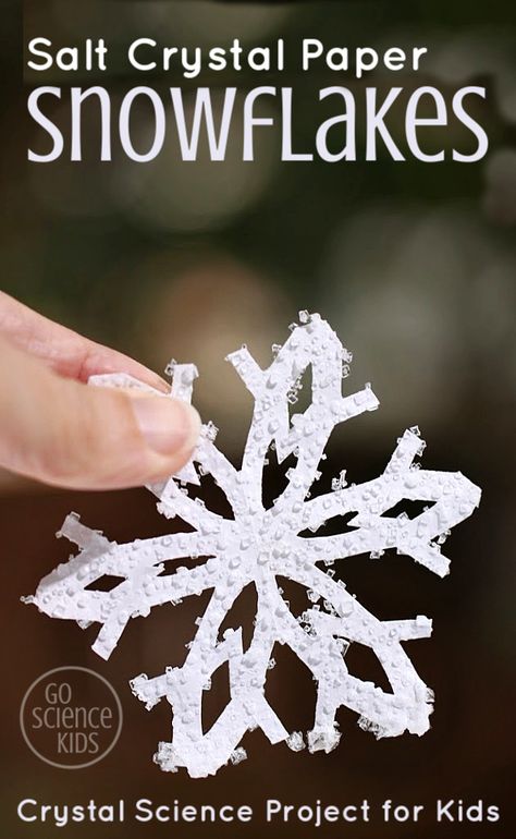 Salt Crystal Snowflakes, Star Wars Snowflakes, Winter Stem, Steam Kids, Borax Crystals, Holiday Stem, Science Kids, Snow Party, Kitchen Science