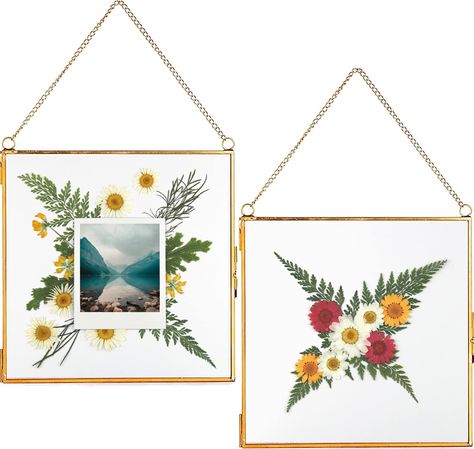 Double Glass Frame, Kids Art Galleries, Glass Floats, Metal Picture Frames, Hanging Picture Frames, Double Glass, Hanging Frames, Flower Artwork, Photo Display