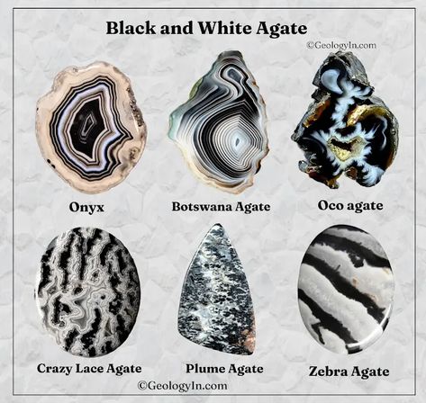 Black and White Agate Stones (Photos), Black And White Stone, Agate Rock, Agate Rocks, Gem Mining, Zebra Jasper, Unique Bands, Gold Nugget, Visual Texture, White Agate