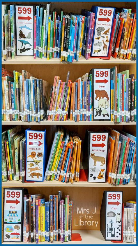 School Library Organization, Elementary Librarian, School Library Decor, Library Signage, School Library Design, School Library Displays, Library Labels, Middle School Libraries, Penanda Buku