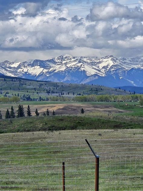 Canadian Landscapes | Around Cochrane, Alberta. | Facebook Alberta Aesthetic, Cochrane Alberta, Alberta Landscape, Prairie Aesthetic, The Past, Animals