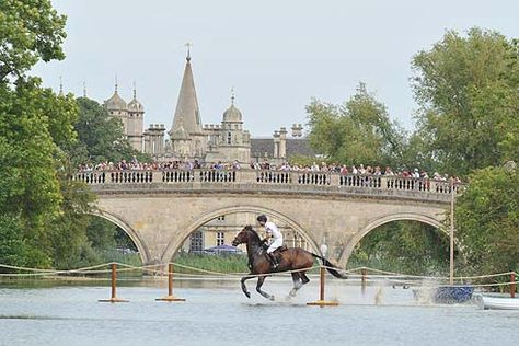 Burghley Horse Trials! Burghley Horse Trials, Equine Fashion, Horse Trials, Equestrian Aesthetic, Equestrian Events, Eventing Horses, Quiet Corner, English Riding, Equestrian Lifestyle