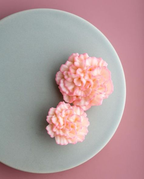 Eat Cake Be Merry - Liz Shim on Instagram: "Buttercream carnations. Showing off all their ruffles but in a sweet and simple way. My online buttercream flower cake classes are still 15% off until the end of the year! Use code: HOLIDAYS to start learning at buttercreamflowercakes.com" Carnation Cake Ideas, Buttercream Carnation, Royal Icing Carnation Flower, Striped Carnation, Two Toned Carnation, Flower Piping, Buttercream Flower, Buttercream Flower Cake, Cake Classes