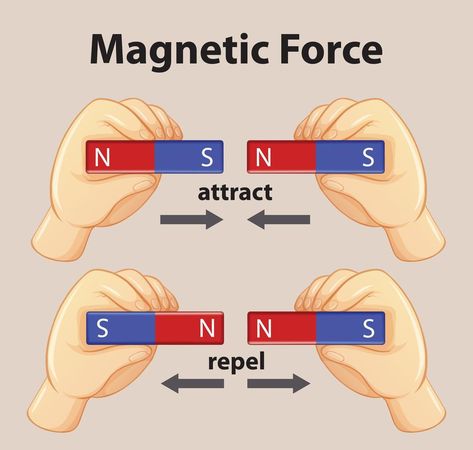 Magnetic force show magnetic attraction and repulsion for kids physics educational Force Pictures, Chemistry Between Two People, Science Electricity, Physics Projects, Magnets Science, Picture Magnets, Classroom Charts, Physics Notes, Fun Magnets