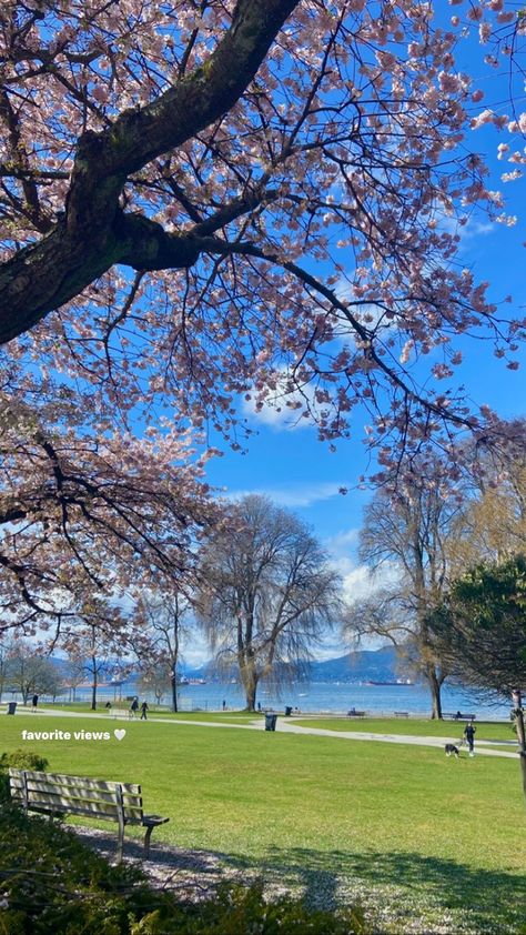 #nature #photography #spring #cherryblossoms #sun #vsco #vscocam #vscoedit #vancouver Spring In Vancouver, Vancouver Bc Aesthetic, Vancouver Canada Aesthetic, Vancouver Aesthetic, Vancouver Life, Canada Lifestyle, Photography Spring, Future Home, Vancouver Canada